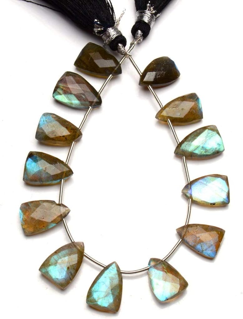 GEMZ 8 inch Strand of Natural Labradorite Trillion Shape Faceted Cut Gray Color briollete Beads for DIY Jewelry Making- Earring Necklace Bracelet.