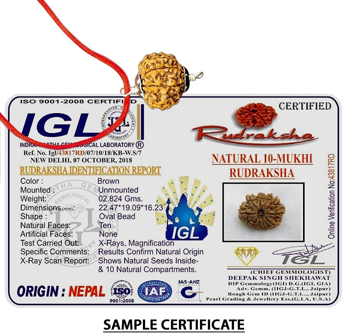 10 Mukhi Nepal Rudraksha /Ten Face/ Lord Vishnu in Pure Silver Pendant IGL Certified 100% Original Geniune Bead All Size (Rare 30mm-32mm)