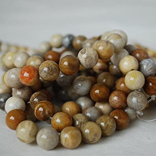 13 inch Strand of Natural gem Fossilized, 10mm Round Smooth Beads for DIY Jewelry Making. | Beads_03646