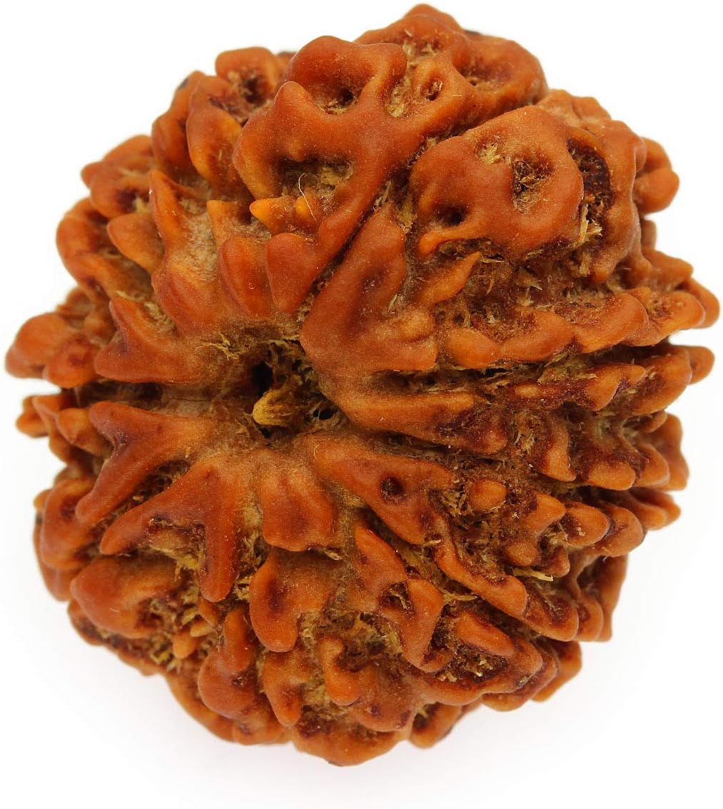 SitaRama RDB009A Rudraksha Beads 9 Sided (Nepal)
