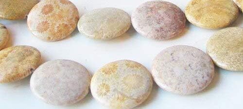 Fossilized Coral 35mm Coin Pendant Bead Strand 109156 for Jewelry Making