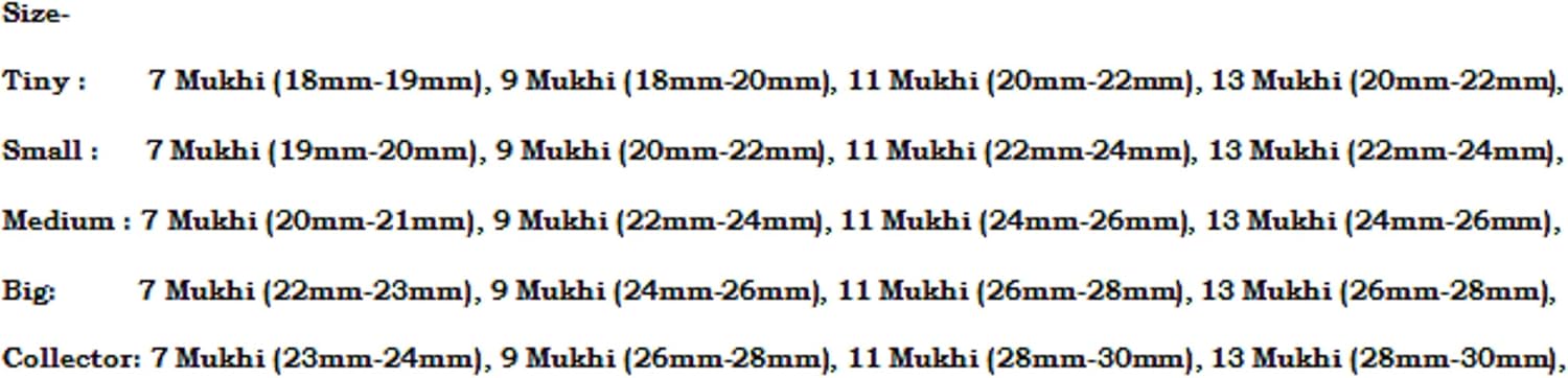 Rudraksha Combination for Wealth 7,9,11,13 Mukhi Nepal in Silver Chain IGL Lab Certified Original Genuine Beads (COLLECTER)