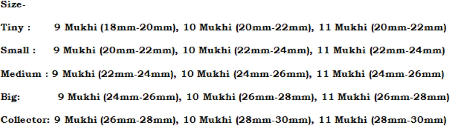 Rudraksha Combination for Total Protection 9,10,11 Mukhi Nepal in Silver Chain IGL Lab Certified Original Geniune Beads (Small)