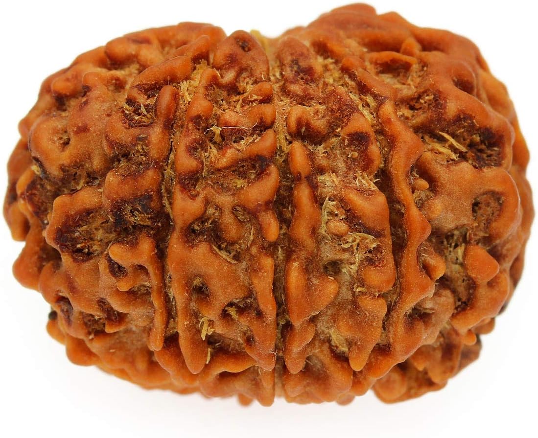 SitaRama RDB009A Rudraksha Beads 9 Sided (Nepal)