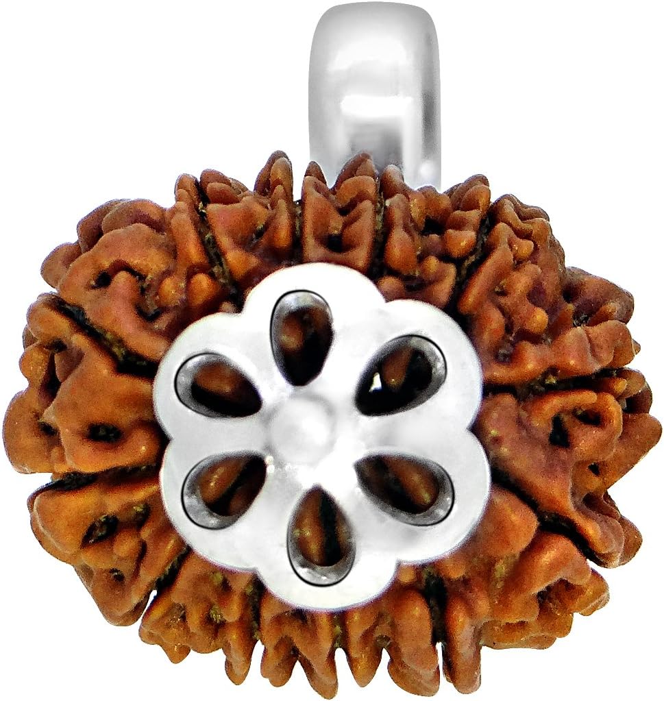 Arihant Gems & Jewels Nepali & Indian Rudraksha Pendant in 925 Sterling Silver – Natural, Certified, Spiritual Beads for Men & Women