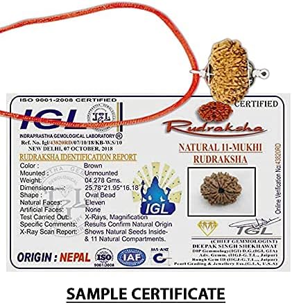 11 Mukhi Nepal Rudraksha /Eleven Face/ Lord Hanuman In Pure Silver Pendant IGL Certified 100% Original Geniune Bead All Size