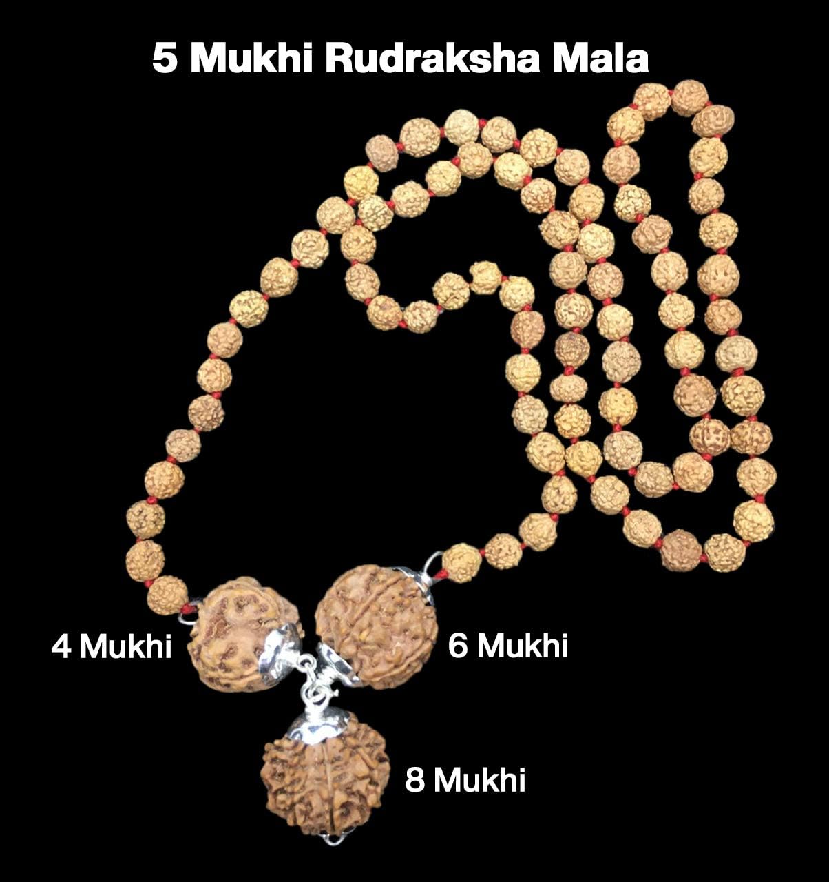 Rudraksha Combination for Advocates 4,6,8 Mukhi Nepal in Rudraksha Mala IGL Lab Certified Original Genuine Beads (Small)