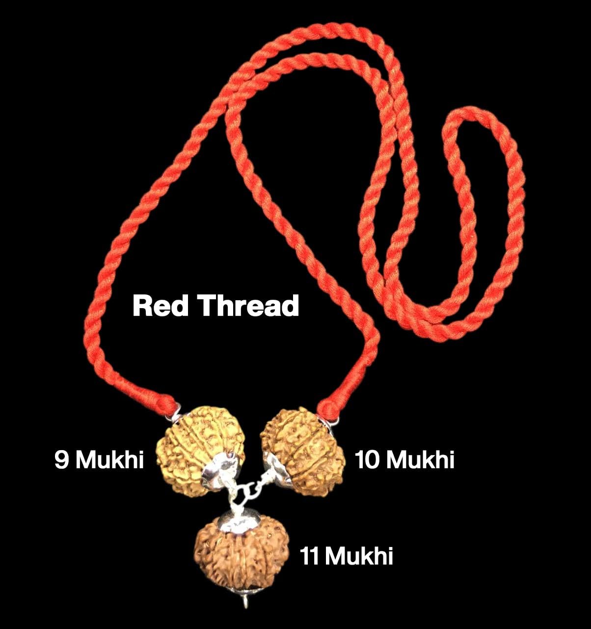 Rudraksha Combination for Total Protection 9,10,11 Mukhi Nepal in Silver Pendant IGL Lab Certified Original Geniune Beads (Small)