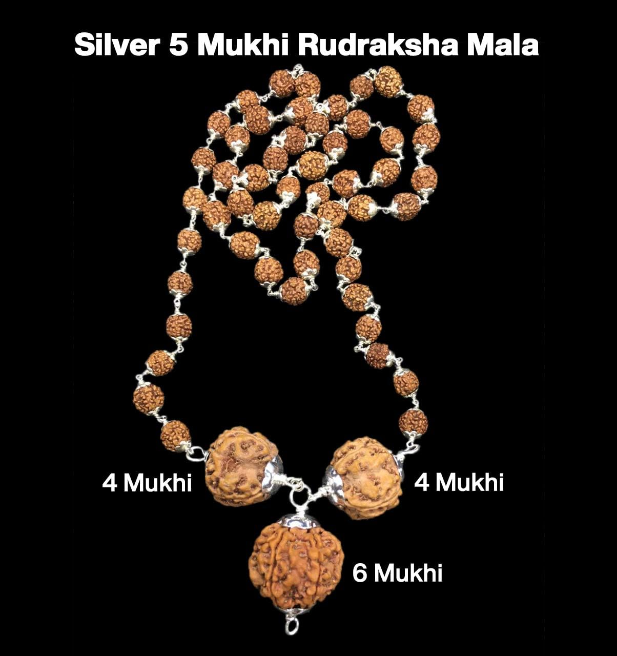 Rudraksha Combination for Students 4,4,6 Mukhi Nepal in Silver Mala IGL Lab Certified Original Genuine Beads (Small)