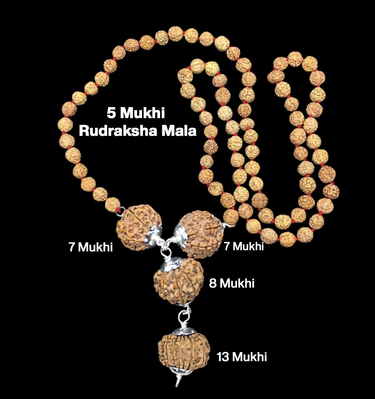Rudraksha Combination for Business Power (Marketing & Trading) 7,7,8,13 Mukhi Nepal in Rudraksha Mala IGL Lab Certified Original (Small)