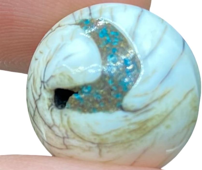 Handcrafted Nepalese Tibetan Natural Shell Pearl Bead 16x17mm – 6.88g Round Carved Bead for Jewelry Making, Craft Supplies, DIY Necklace & Bracelet Design,Loose Beads,Prayer Mala,Amulet (20)