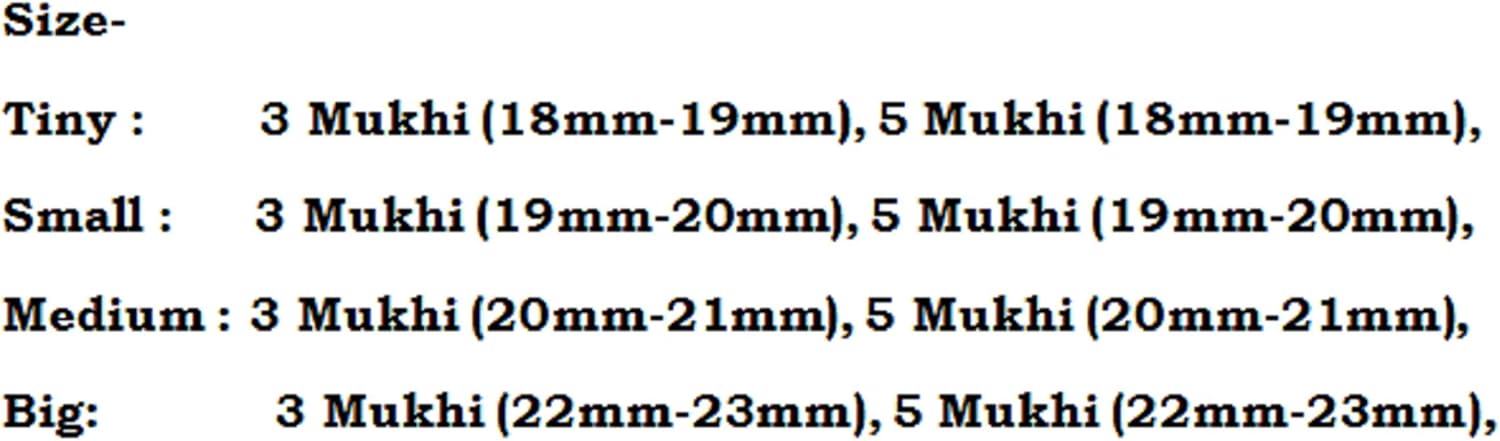 Rudraksha Combination for Health Power 3,3,5,5,5 Mukhi Nepal in Rudraksha Mala IGL Lab Certified Original Genuine Beads (Small)