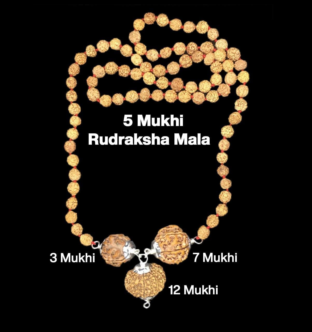 Rudraksha Combination for Career 3,7,12 Mukhi Nepal in Rudraksha Mala IGL Lab Certified Original Genuine Beads (Small)