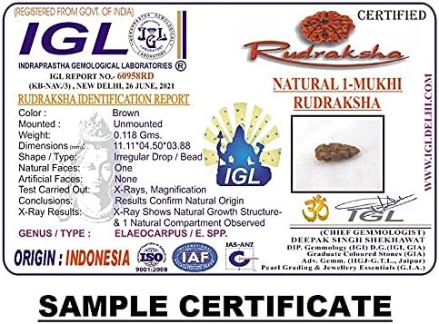 Natural 1 Mukhi Indonesian Rudraksha In Silver Case / One Mukhi Java Rudraksha In Silver Pendant 8mm-10mm IGL Certified