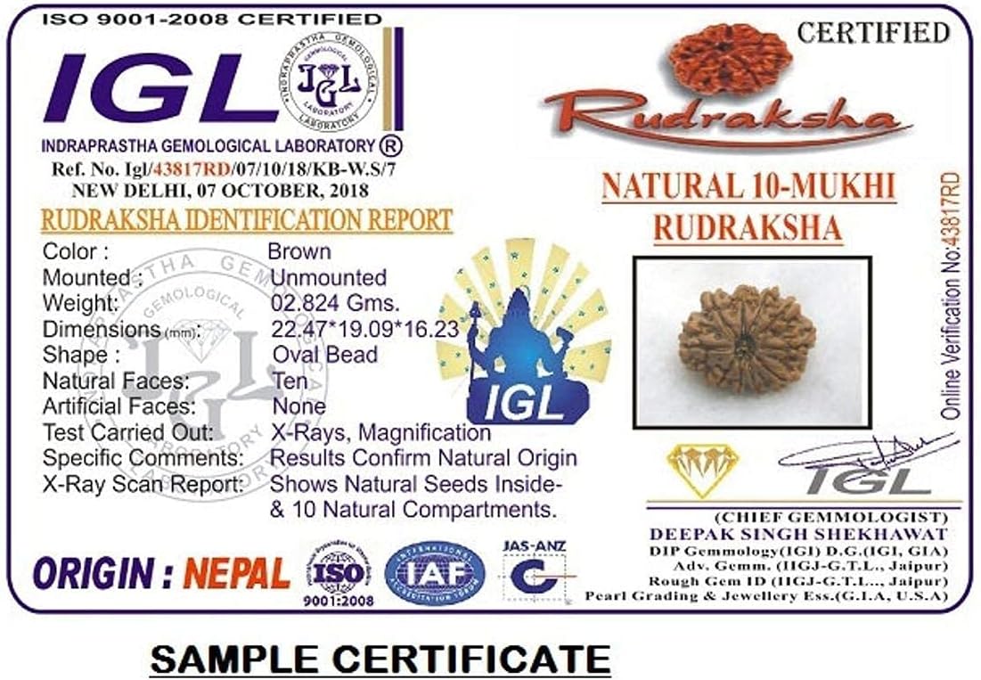 10 Mukhi Nepal Rudraksha /Ten Face/ Lord Vishnu in Pure Silver Pendant IGL Certified 100% Original Geniune Bead All Size (Rare 30mm-32mm)