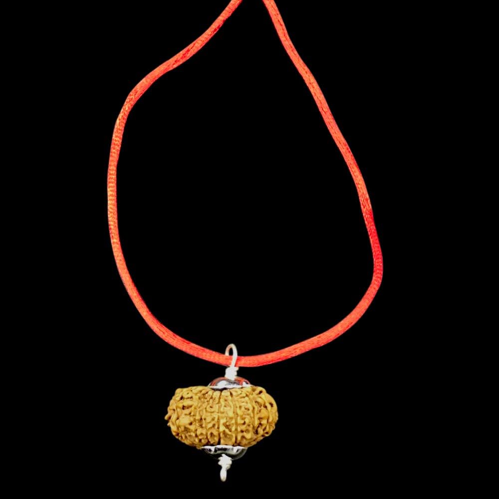 16 Mukhi Nepal Rudraksha /Sixteen Face/ Lord Mahamritunjaya in Pure Silver Pendant IGL Certified 100% Original Geniune Bead All Size (Very Rare (32mm-33mm))