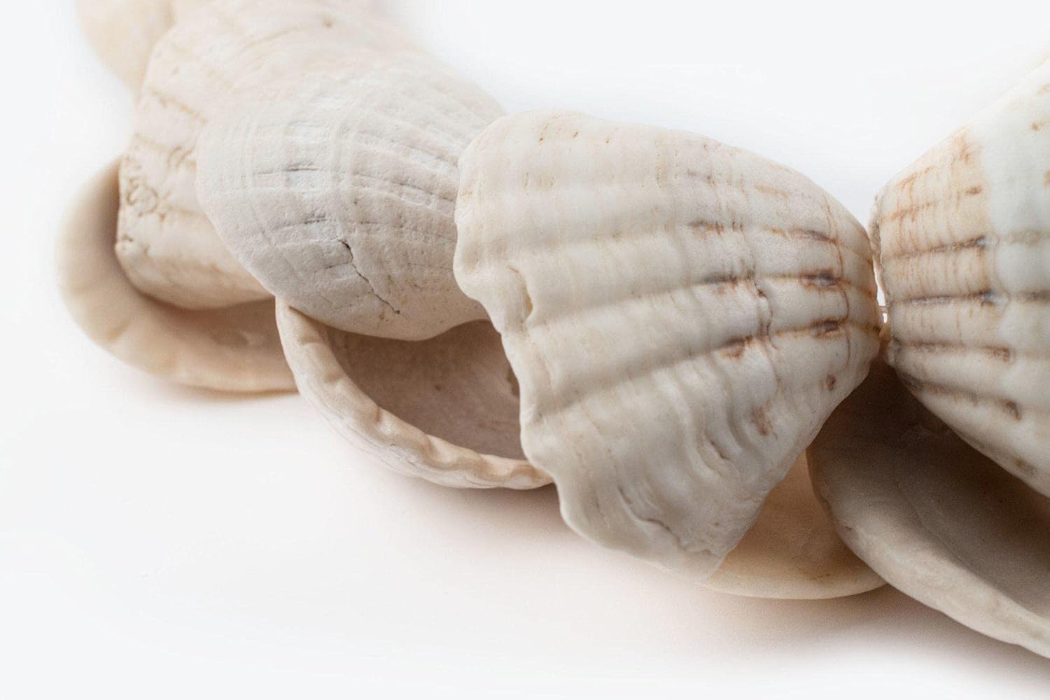 The Bead Chest West African Decorative Shell Beads 45mm Ghana White Unusual Large Hole 34 Inch Strand Handmade