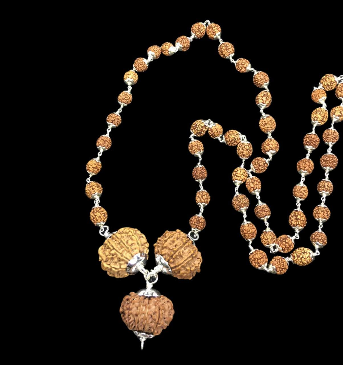 Rudraksha Combination for Total Protection 9,10,11 Mukhi Nepal in Silver Mala IGL Lab Certified Original Geniune Beads (Collector)