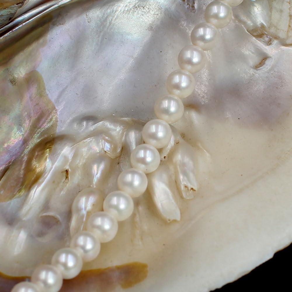 8-9mm 5A Grade Round White Freshwater Pearl Gemstone Beads Strand 15