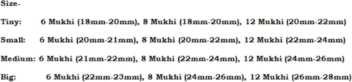 Rudraksha Combination for Business 6,8,12 Mukhi Nepal in Silver Chain IGL Lab Certified Original Genuine Beads (Small)