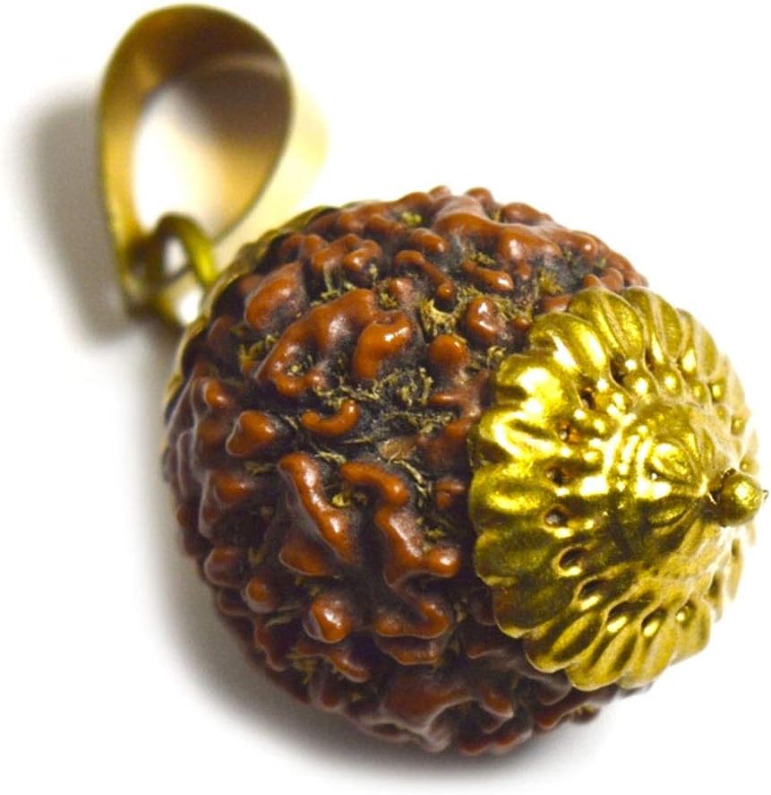 Real 8 Mukhi Eight Face Rudraksha Pendant Prayer Bead Gold Plated Locket for Healing Seed