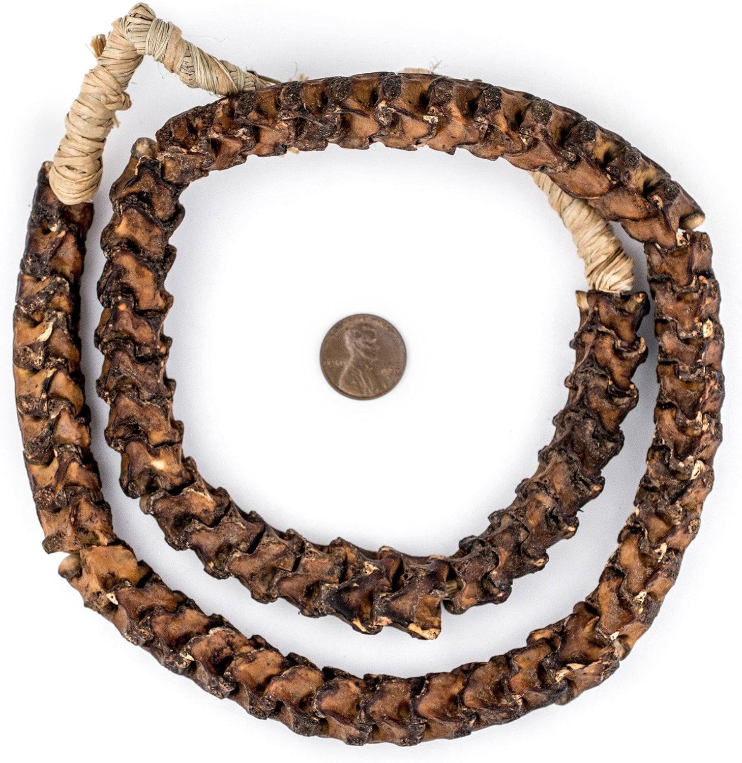 The Bead Chest Real Snake Vertebrae Beads from Africa Extra Large 18mm Nigeria African Brown Interlocking Bone Large Hole 32-34 Inch Strand