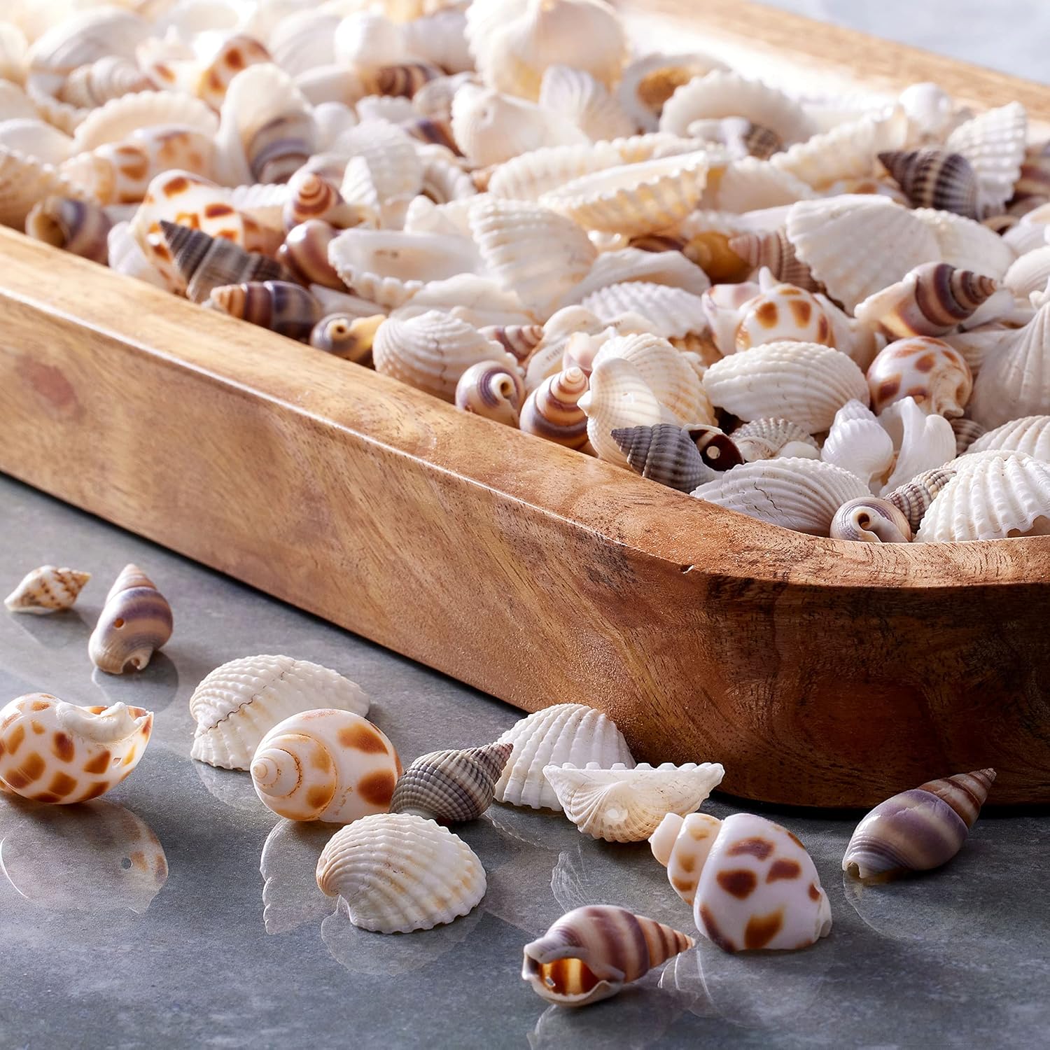 Bead Landing Shell Beads, 6 Pack