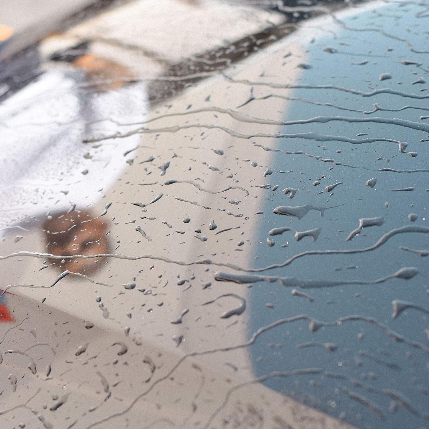 Dinowax - Ceramic Serum Kit, Ceramic Coating, Detailing Kit, Car Detailing Supplies, Protect Collection, 8 Oz Serum with Application Accessories