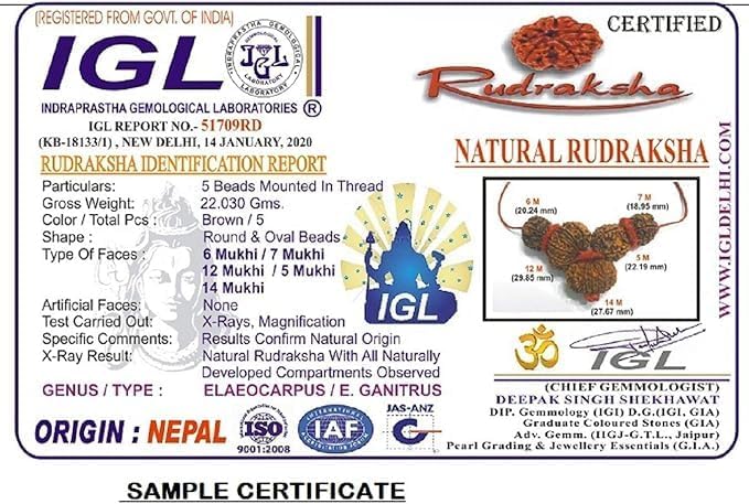 Rudraksha Combination for Creativity 4,6,8 Mukhi Nepal in Silver Pendent with Rudraksha Mala Certified (Small)