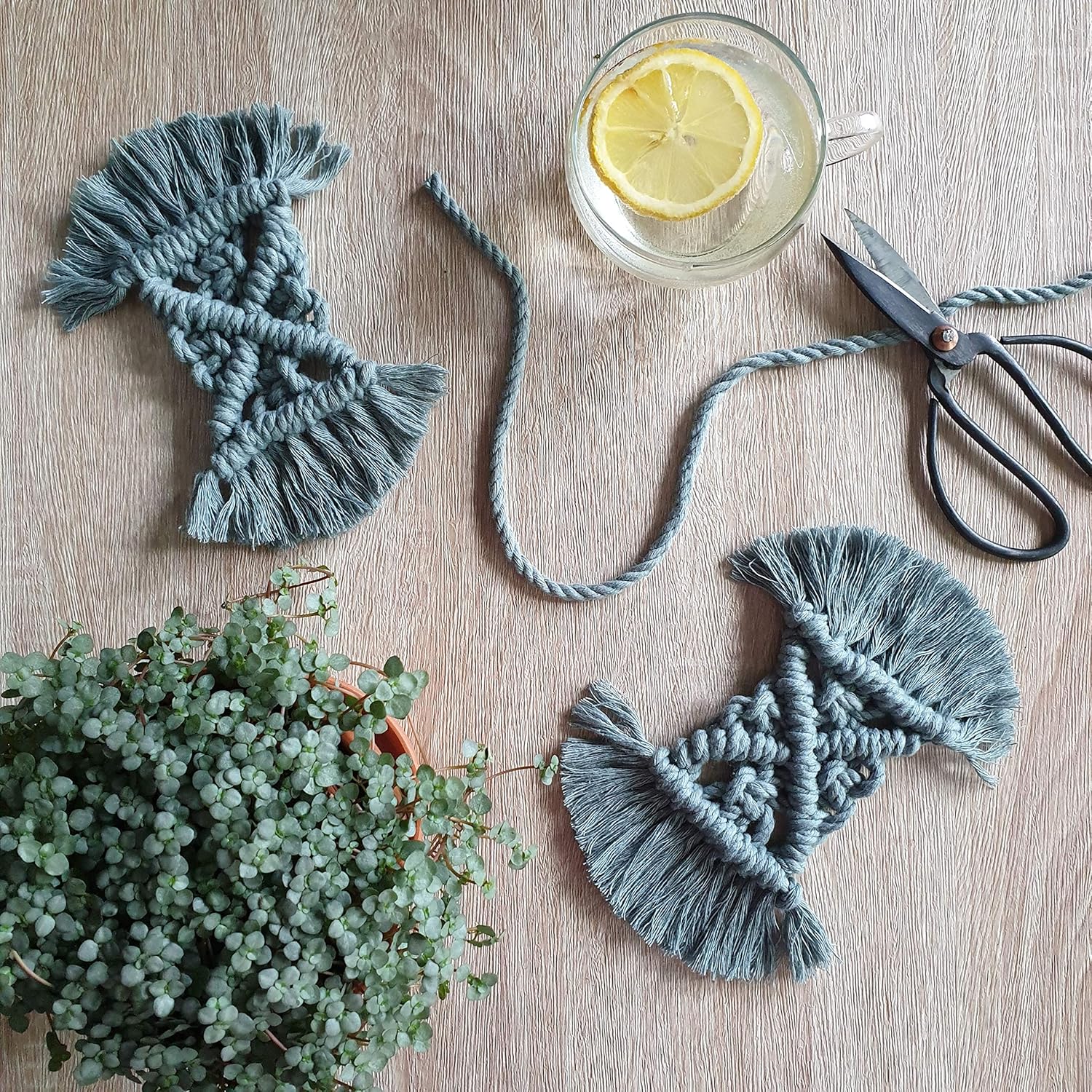 Bobbiny XXL 5mm 3 Ply Macrame Cord (Golden Natural) 108yds/330ft (100% Recycled Cotton)