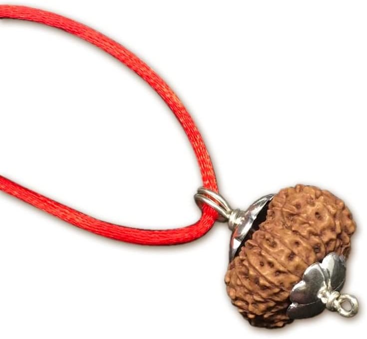 15 Mukhi Indonesian Rudraksha /Fifteen Face Java/ Lord Pashupati In Pure Silver Pendant IGL Certified 100% Original Geniune Bead All Size