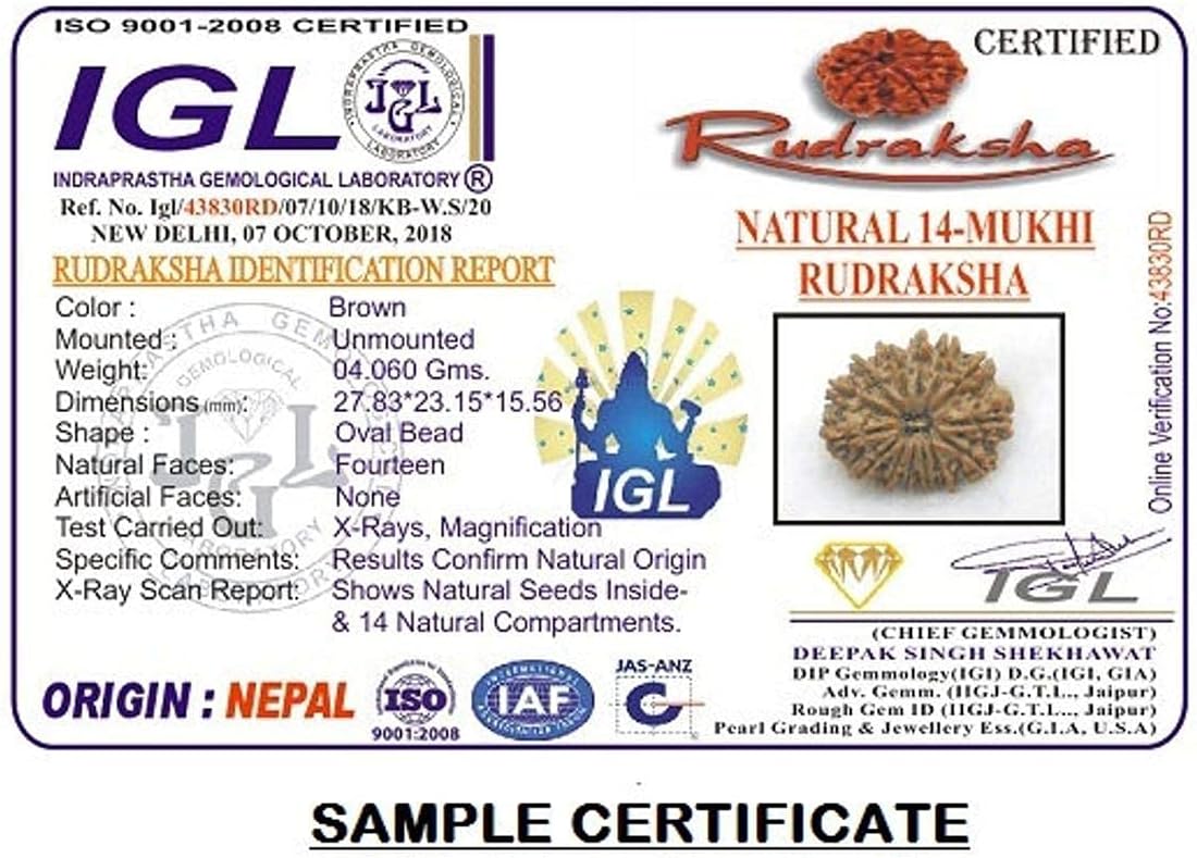 14 Mukhi Nepal Rudraksha /Fourteen Face/ Lord Shiva In Pure Silver Pendant IGL Certified 100% Original Geniune Bead All Size