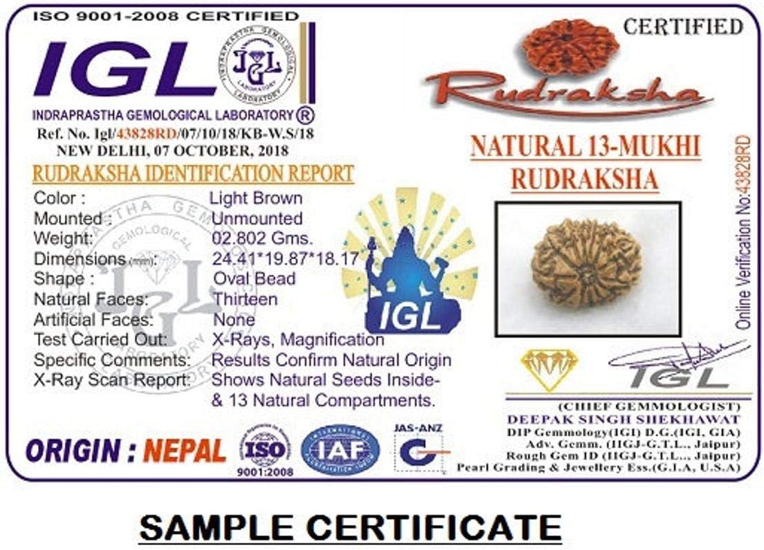 13 Mukhi Nepal Rudraksha/Thirteen Face/Lord Kamadeva In Pure Silver Bracelet IGL Certified 100% Original Geniune Bead All Size (Rare 30mm-32mm)