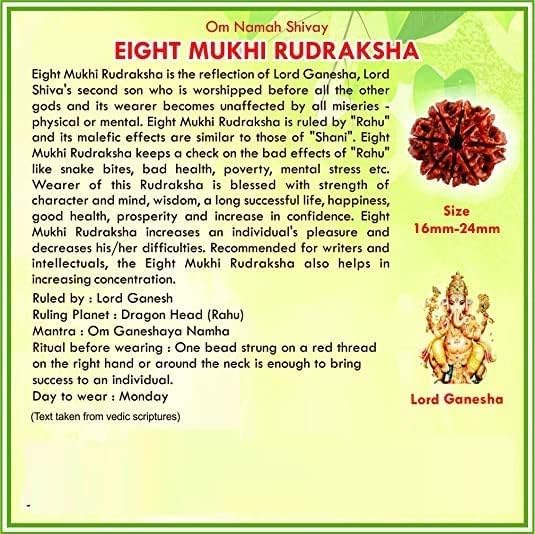 55Carat® 1 2 3 4 5 6 7 8 9 10 11 12 13 Mukhi Gauri Shankar Ganesh Mukhi Nepali Bead Lab Certified Original Rudraksha Real rudrakshi Pure rudrax Meditation Bead for Men and Women