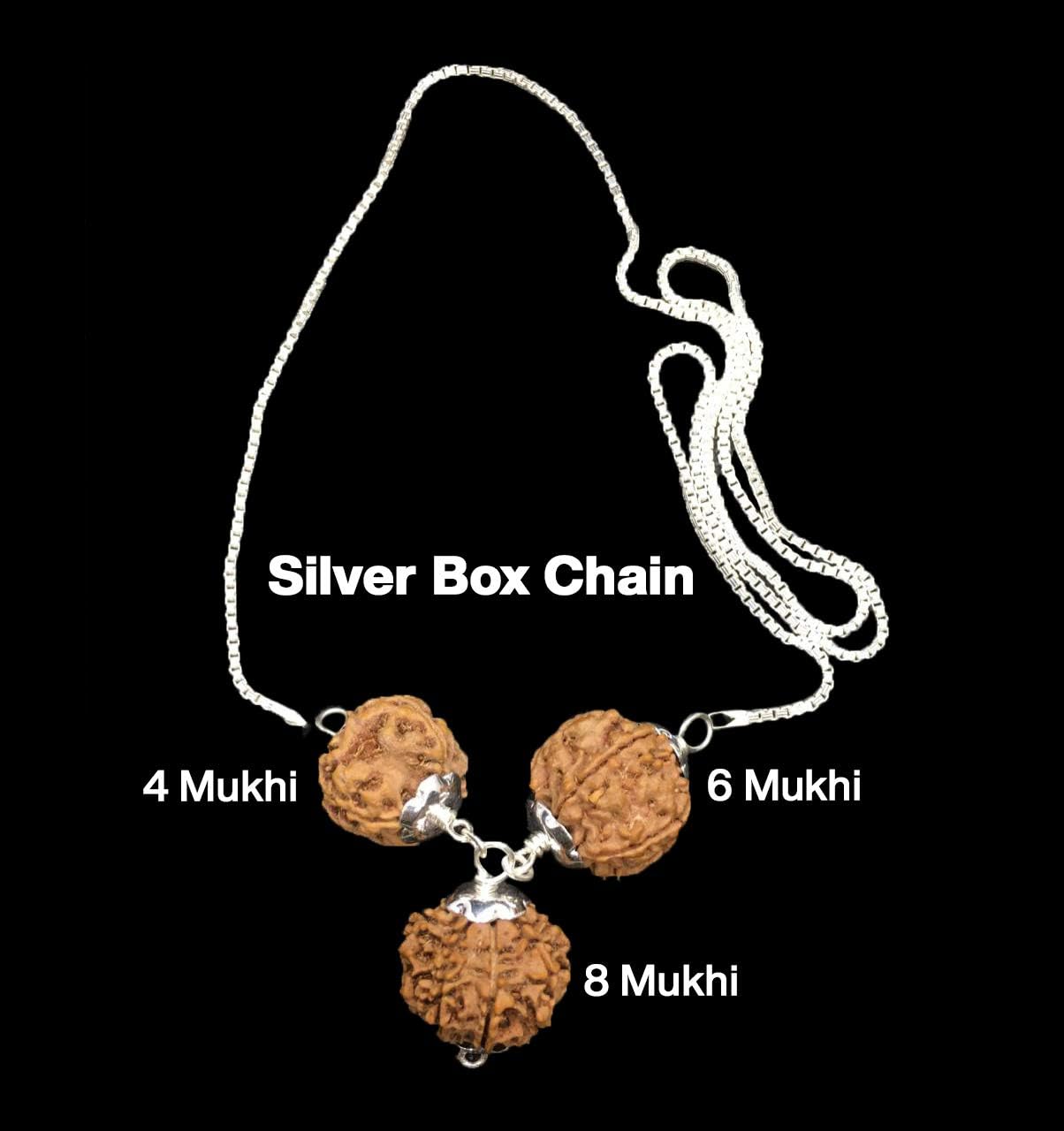 Rudraksha Combination for Advocates 4,6,8 Mukhi Nepal in Silver Chain IGL Lab Certified Original Genuine Beads (Small)