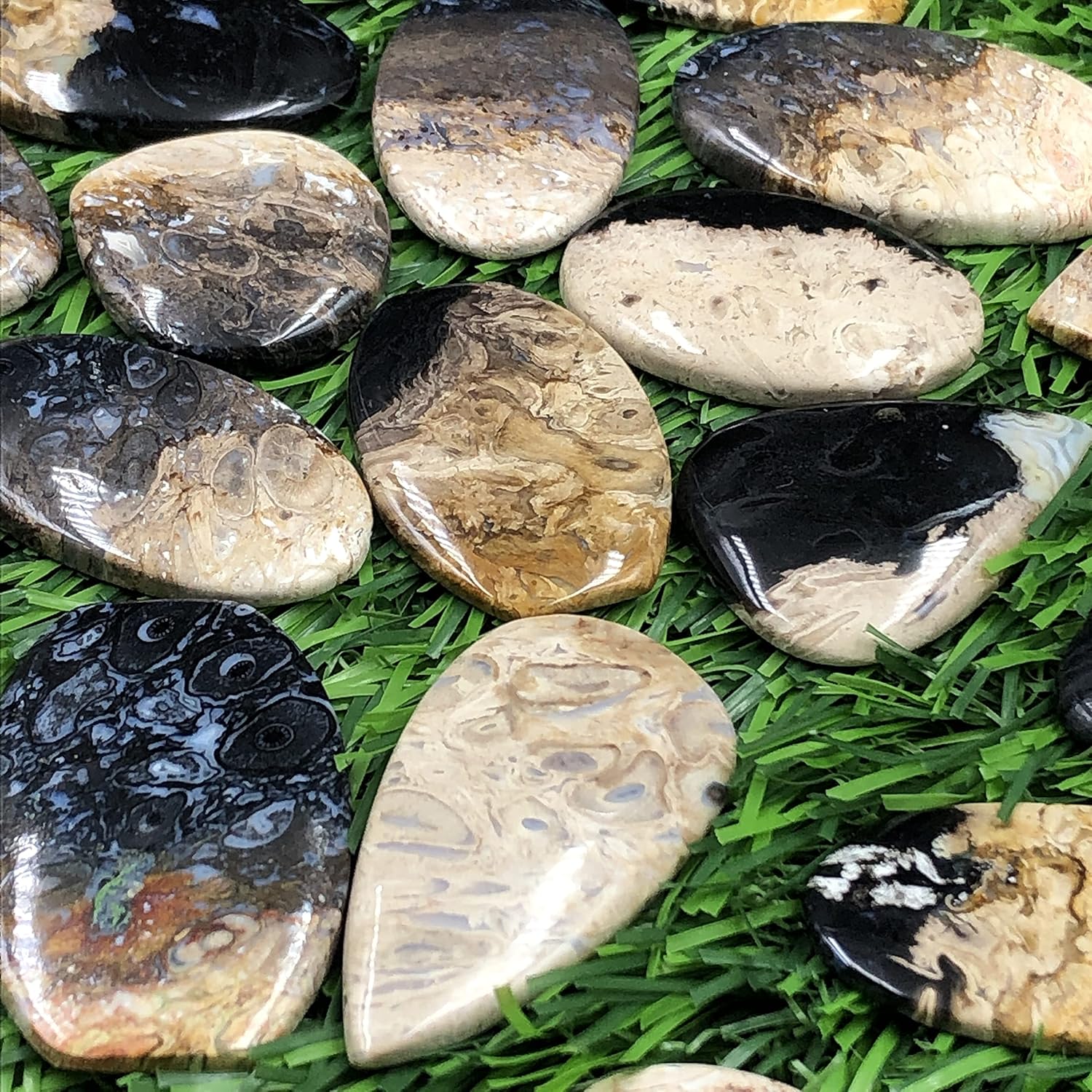 Natural PALM WOOD AGATE Gemstone Loose Cabochon Lot For Jewelry Making, Loose Gemstone For Ring, Earring & Pendant Necklace, Jewelry Making Cabochons, Healing Gemstones