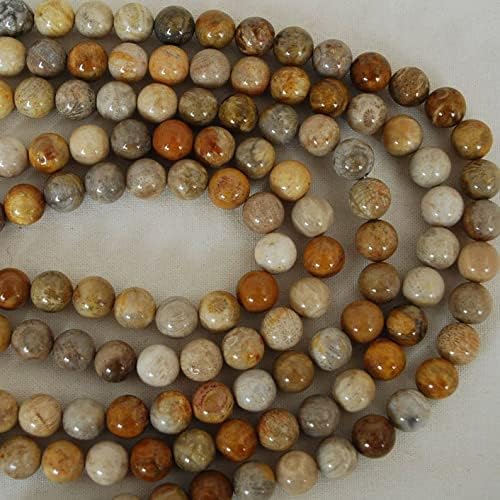 13 inch Strand of Natural gem Fossilized, 10mm Round Smooth Beads for DIY Jewelry Making. | Beads_03646