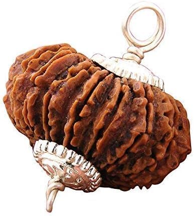 Original Certified Nepali 19 Mukhi Rudraksha Bead, Brown, Natural Lines, Silver Caps