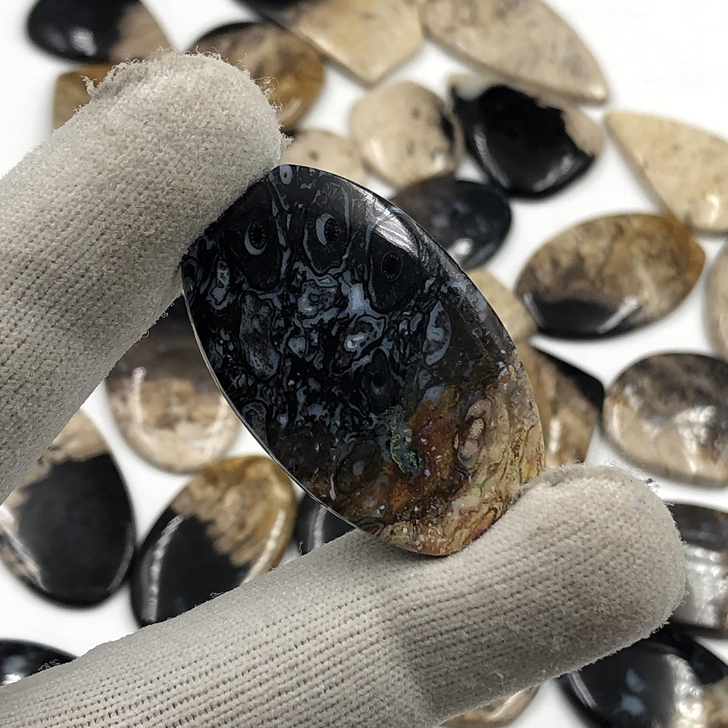 Natural PALM WOOD AGATE Gemstone Loose Cabochon Lot For Jewelry Making, Loose Gemstone For Ring, Earring & Pendant Necklace, Jewelry Making Cabochons, Healing Gemstones