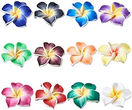 nt 200pcs Mixed Color Handmade Polymer Clay 3D Flower Plumeria Beads for Jewelry Making 12mm 15mm 20mm D118 (Item Diameter : 20x10mm)