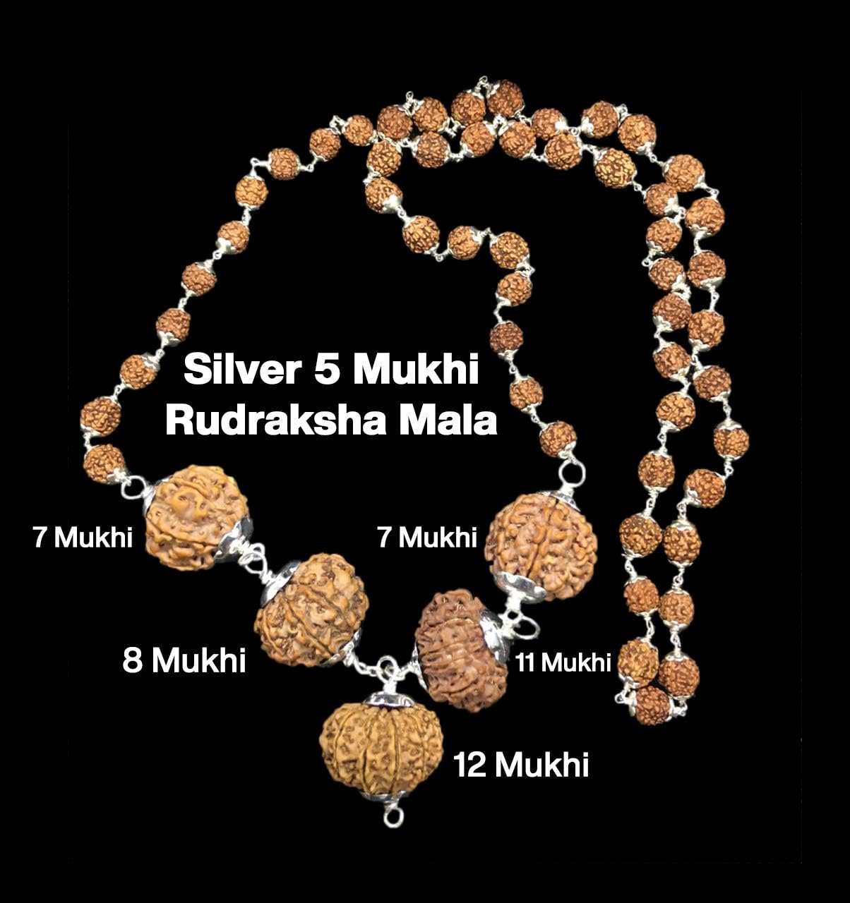 Rudraksha Combination for Business Power (Executives & Businessmen) 7,7,8,11,12 Mukhi Nepal in Silver Mala IGL Lab Certified (Small)