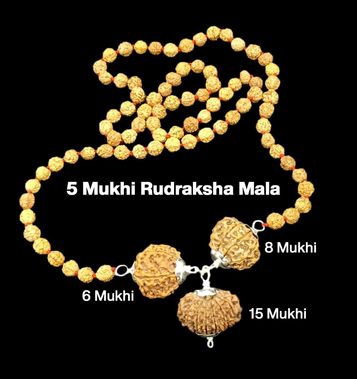 Rudraksha Combination for Business 6,8,15 Mukhi Nepal in Rudraksha Mala IGL Lab Certified Original Genuine Beads (Tiny)