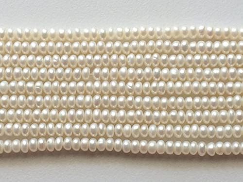 5 Strand Natural Ivory Color Pearls, Natural Fresh Water Corn Pearls, Natural Pearls, Ivory Pearls, 4mm, 16 Inch