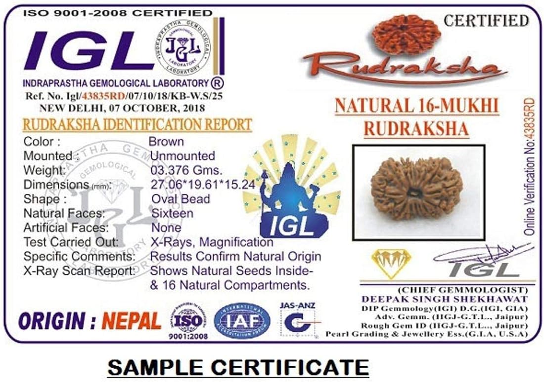16 Mukhi Nepal Rudraksha /Sixteen Face/ Lord Mahamritunjaya in Pure Silver Pendant IGL Certified 100% Original Geniune Bead All Size (Very Rare (32mm-33mm))