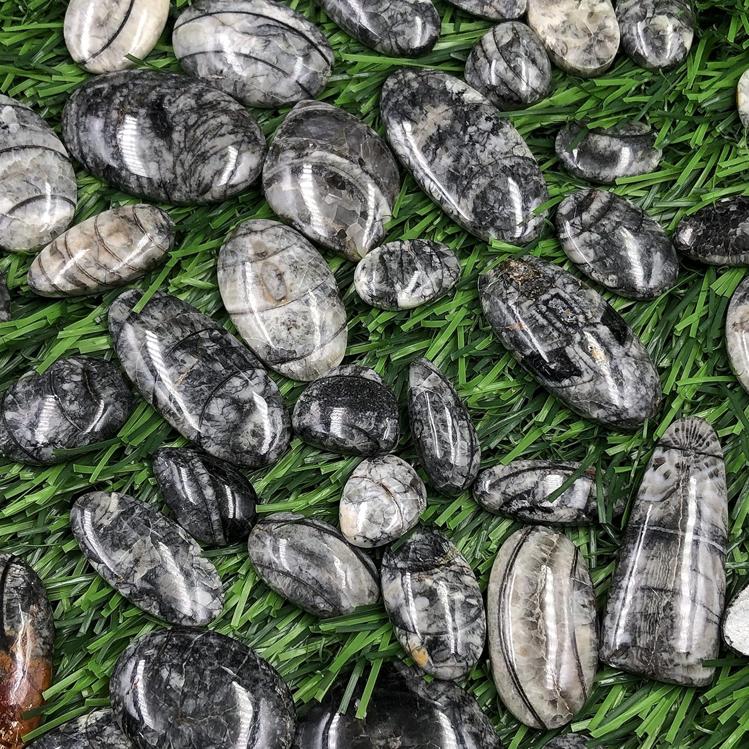 Natural ORTHOCEARS Gemstone Loose Cabochon Lot For Jewelry Making, Loose Gemstone For Ring, Earring & Pendant Necklace, Jewelry Making Cabochons, Healing Gemstones