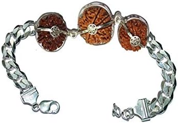 Rudraksha Combination for Business 6,8,15 Mukhi Nepal in Silver Pendant IGL Lab Certified Original Genuine Beads (Medium)