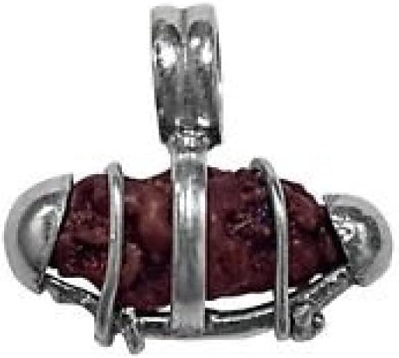 Natural 1 Mukhi Indonesian Rudraksha In Silver Case / One Mukhi Java Rudraksha In Silver Pendant 8mm-10mm IGL Certified