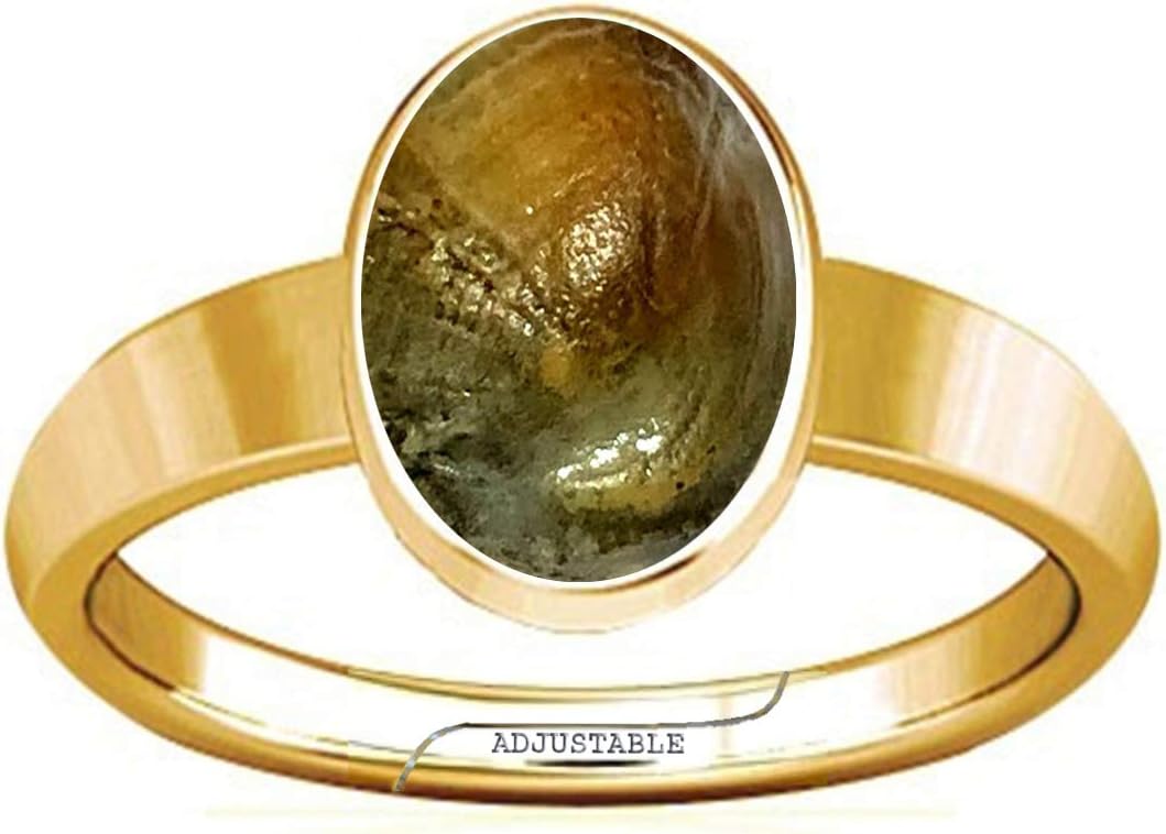 Divya Shakti Machha Matsya Mani Sea Stone Panchdhatu Adjustable Plain Design Ring for Men & Women