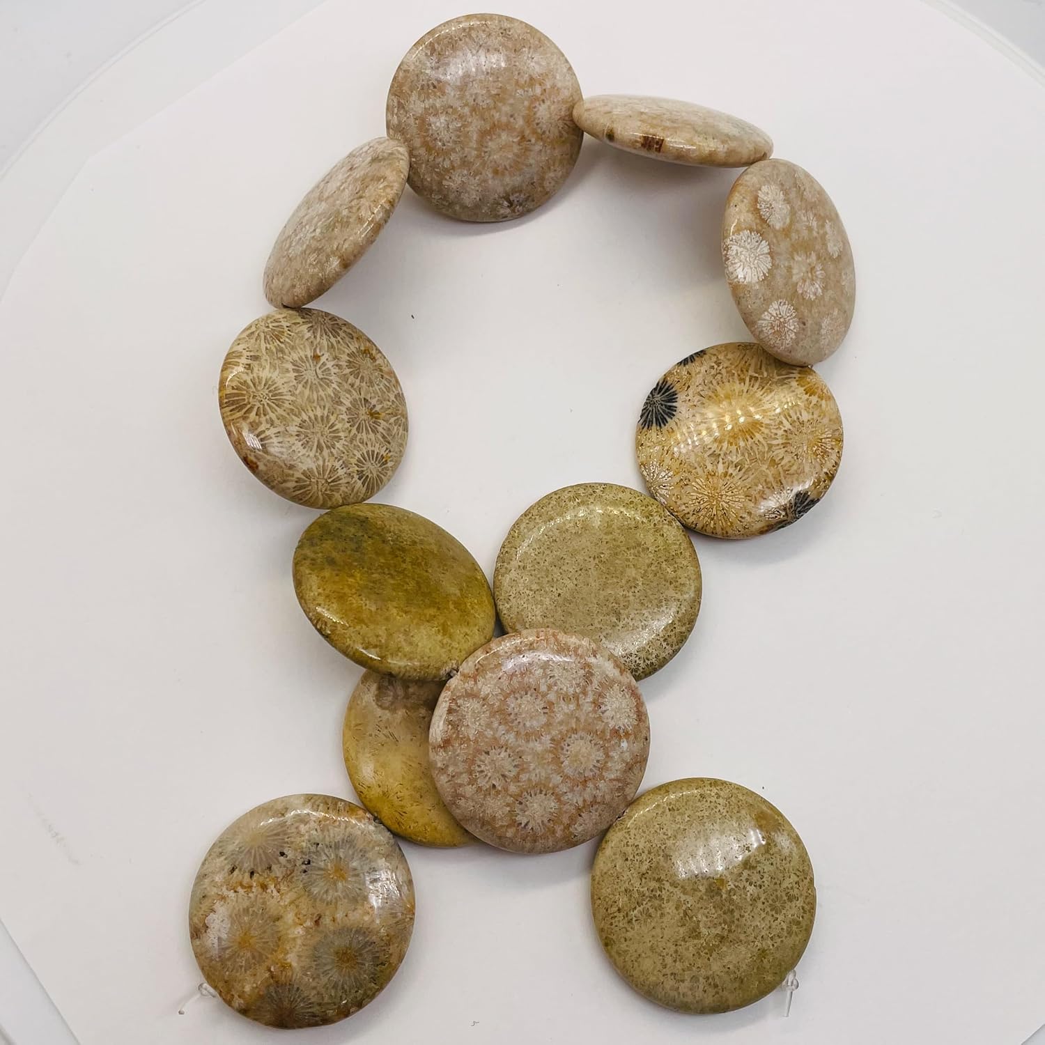 Fossilized Coral 35mm Coin Pendant Bead Strand 109156 for Jewelry Making