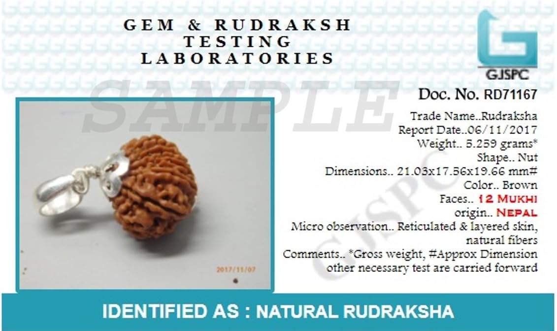 Arihant Gems & Jewels Nepali & Indian Rudraksha Pendant in 925 Sterling Silver – Natural, Certified, Spiritual Beads for Men & Women